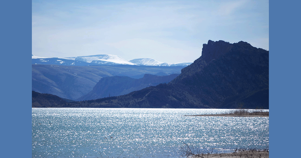 Cyanobacterial Blooms in Wyoming Waters