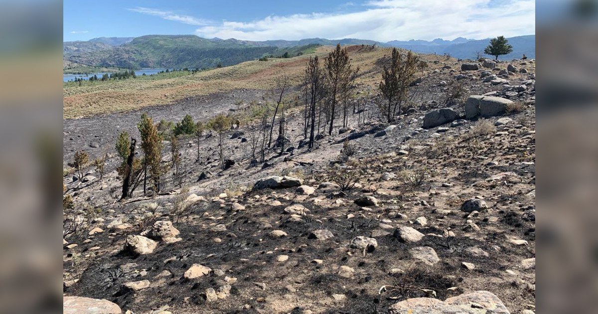 Tannerite Fire Near Boulder Lake 70% Contained as of Noon Today