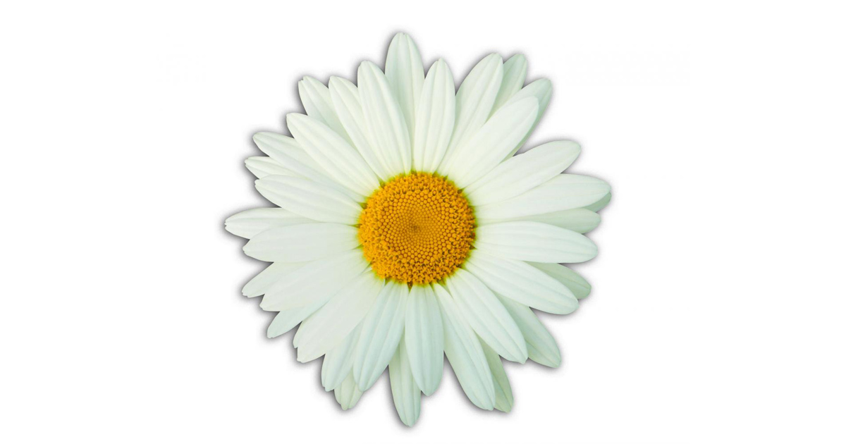 Public Input Being Sought for Outstanding Nurses at Memorial Hospital