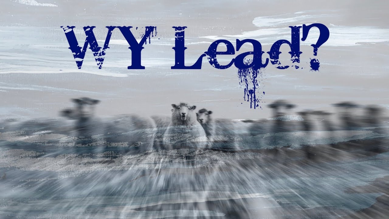 WY Lead?