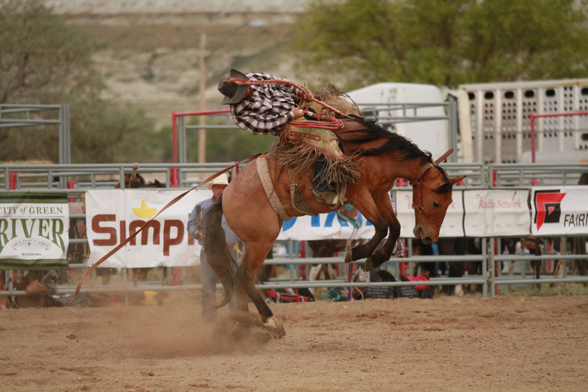 Overland Stage Stampede Rodeo Makes Over $8,000 in Ticket Sales