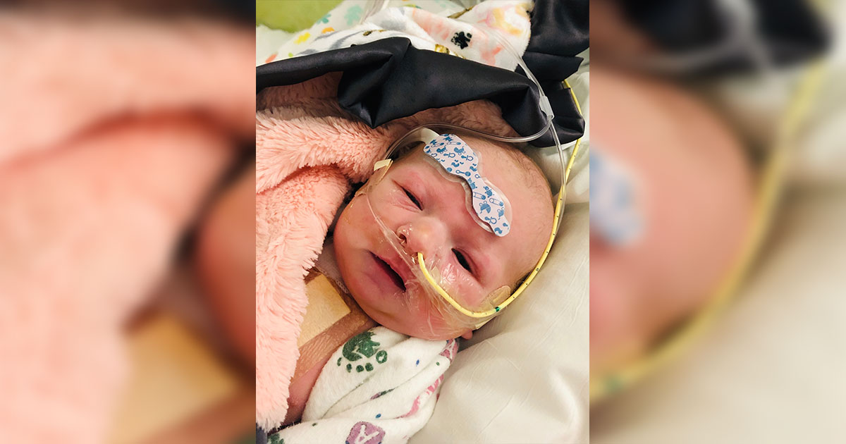 Birth Announcement: Harper Janicki