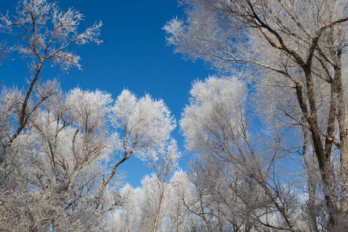 Temperatures Expected to Drop Significantly Wednesday