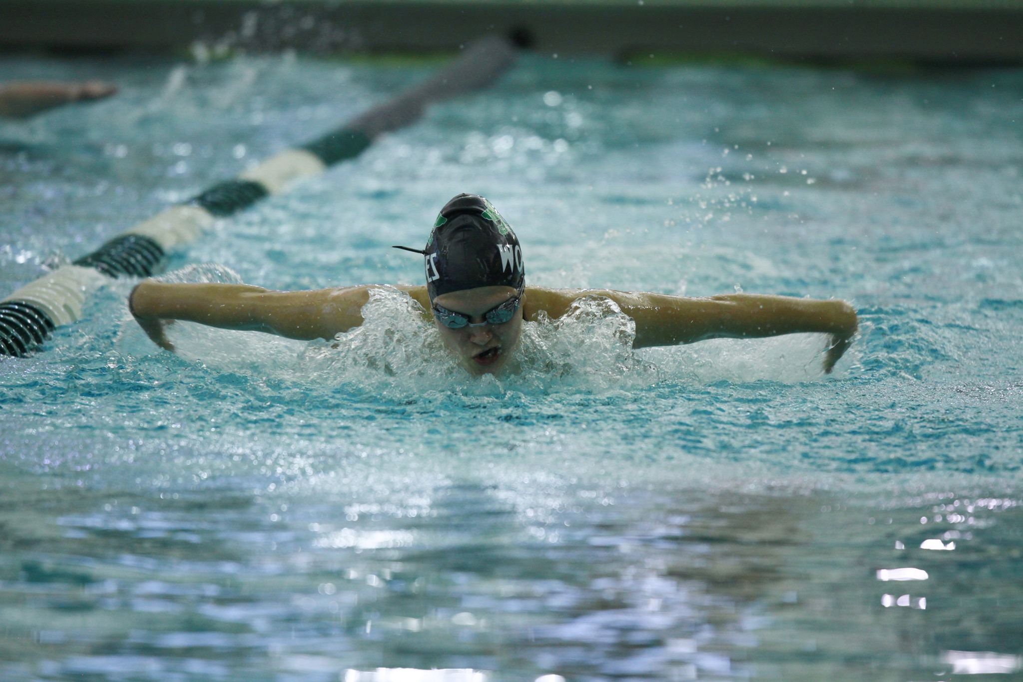 Lady Wolves State Swimming and Diving Results