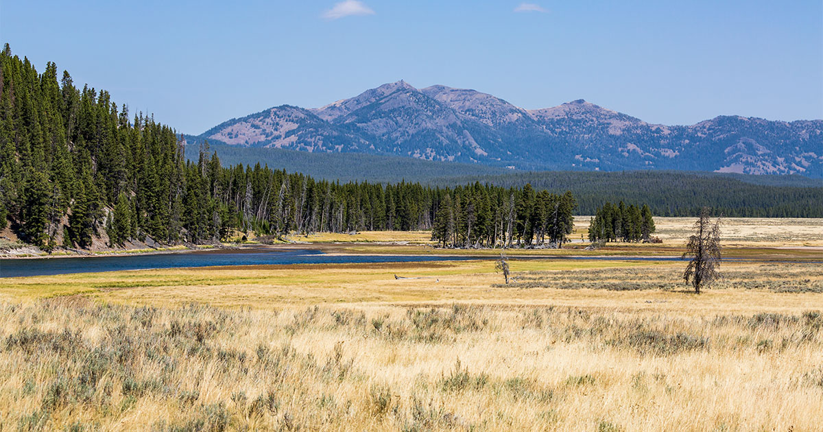 Wyoming Game and Fish Launches Inspire a Kid Webpage