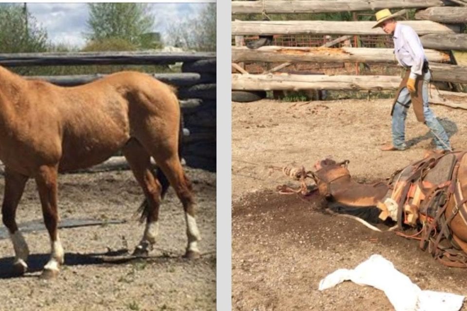 Civil Suit Brought by Disgraced Outfitter Dismissed