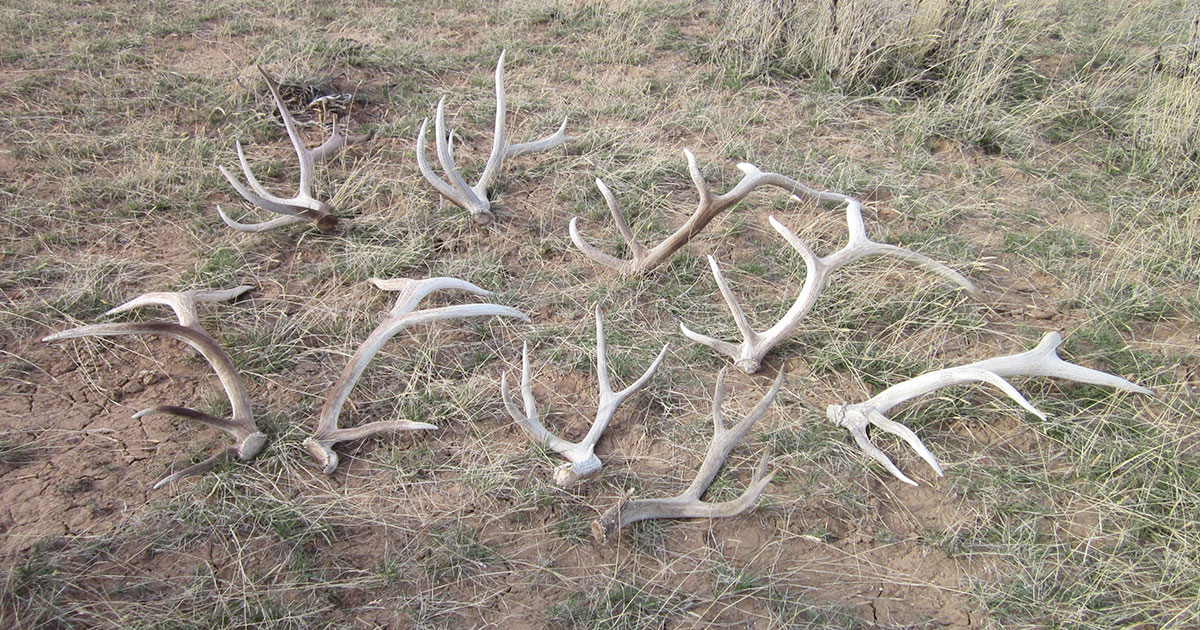 OPINION: It’s Not Over Yet, Uranium Waste Would Be Bad for Wyoming