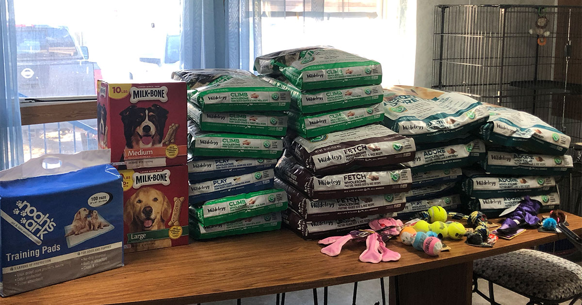 Northpark Students Donate to Humane Society