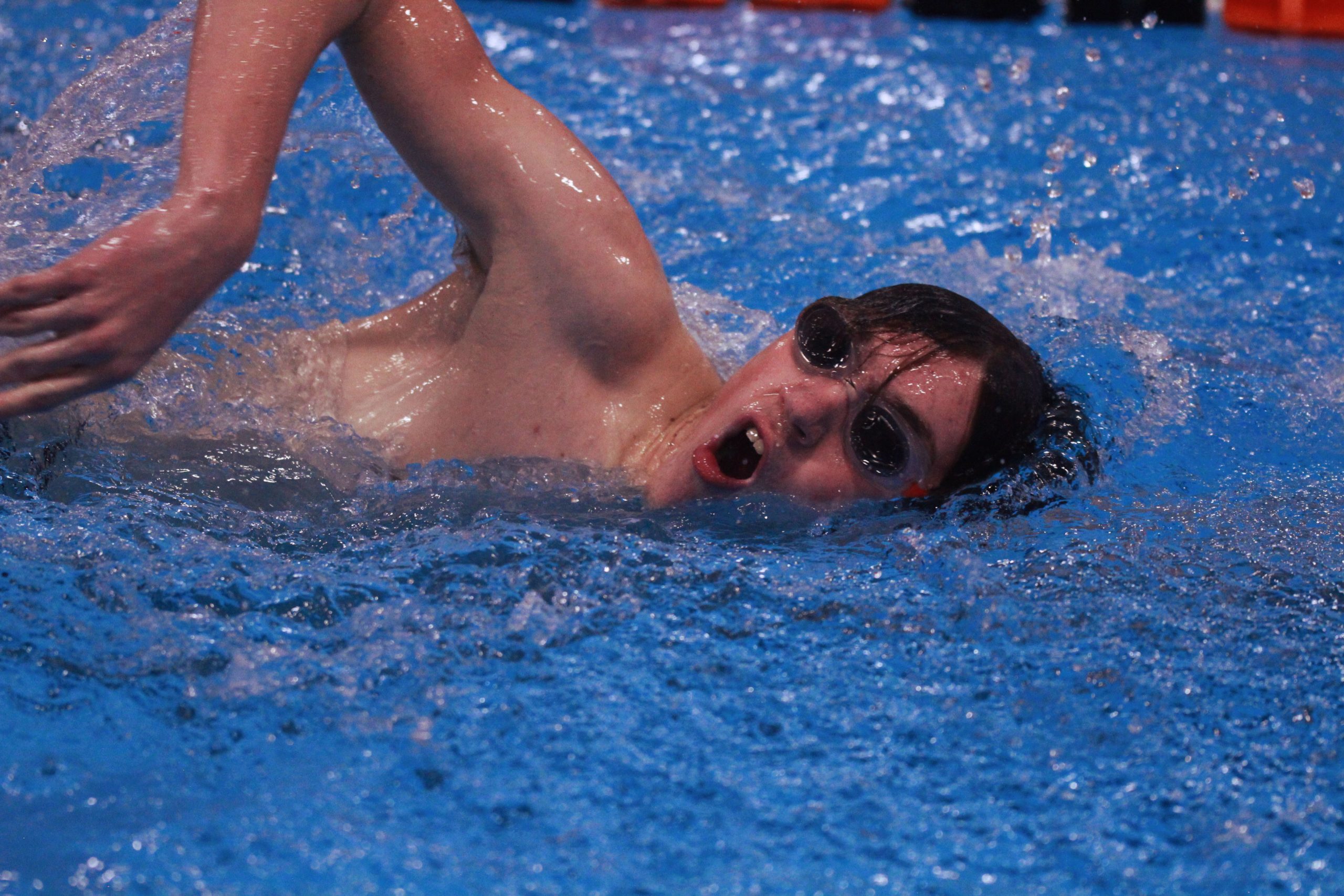 Tigers Qualify Two Swimmers for State in Evanston Meet