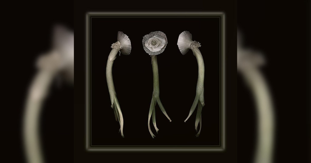 Governor’s Art Exhibition to Display Sweetwater County Artists’ Work