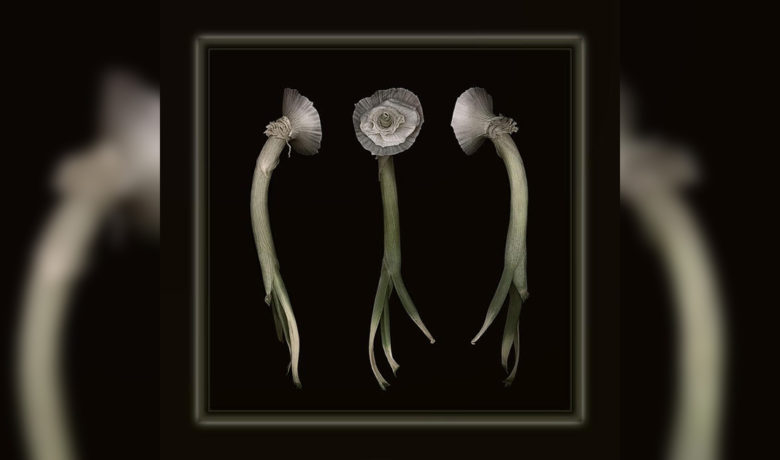 Governor’s Art Exhibition to Display Sweetwater County Artists’ Work