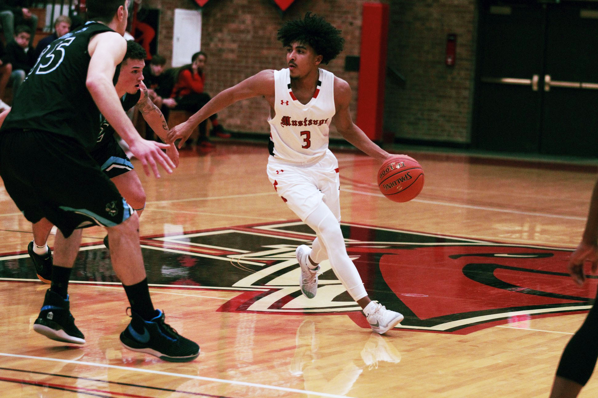New Polls Rank Mustangs Basketball 15th in Nation