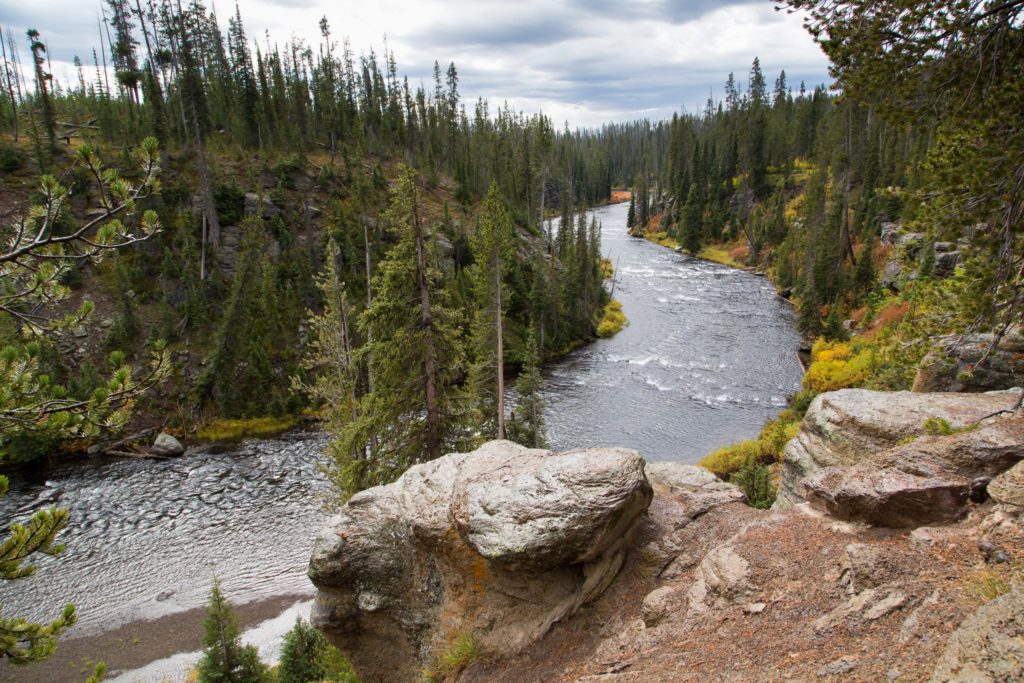 Yellowstone and Grand Teton National Parks Close