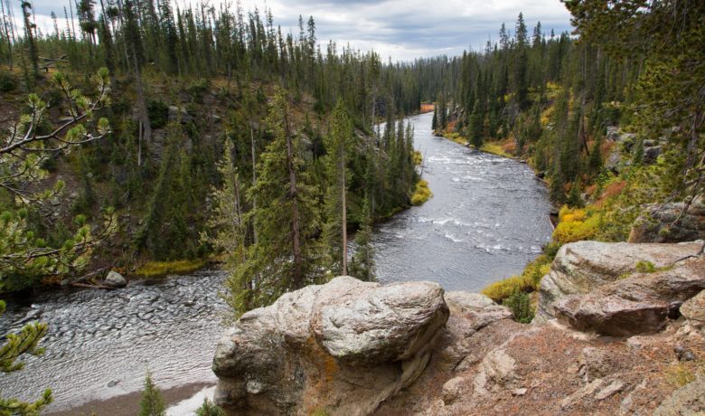 Yellowstone and Grand Teton National Parks Close