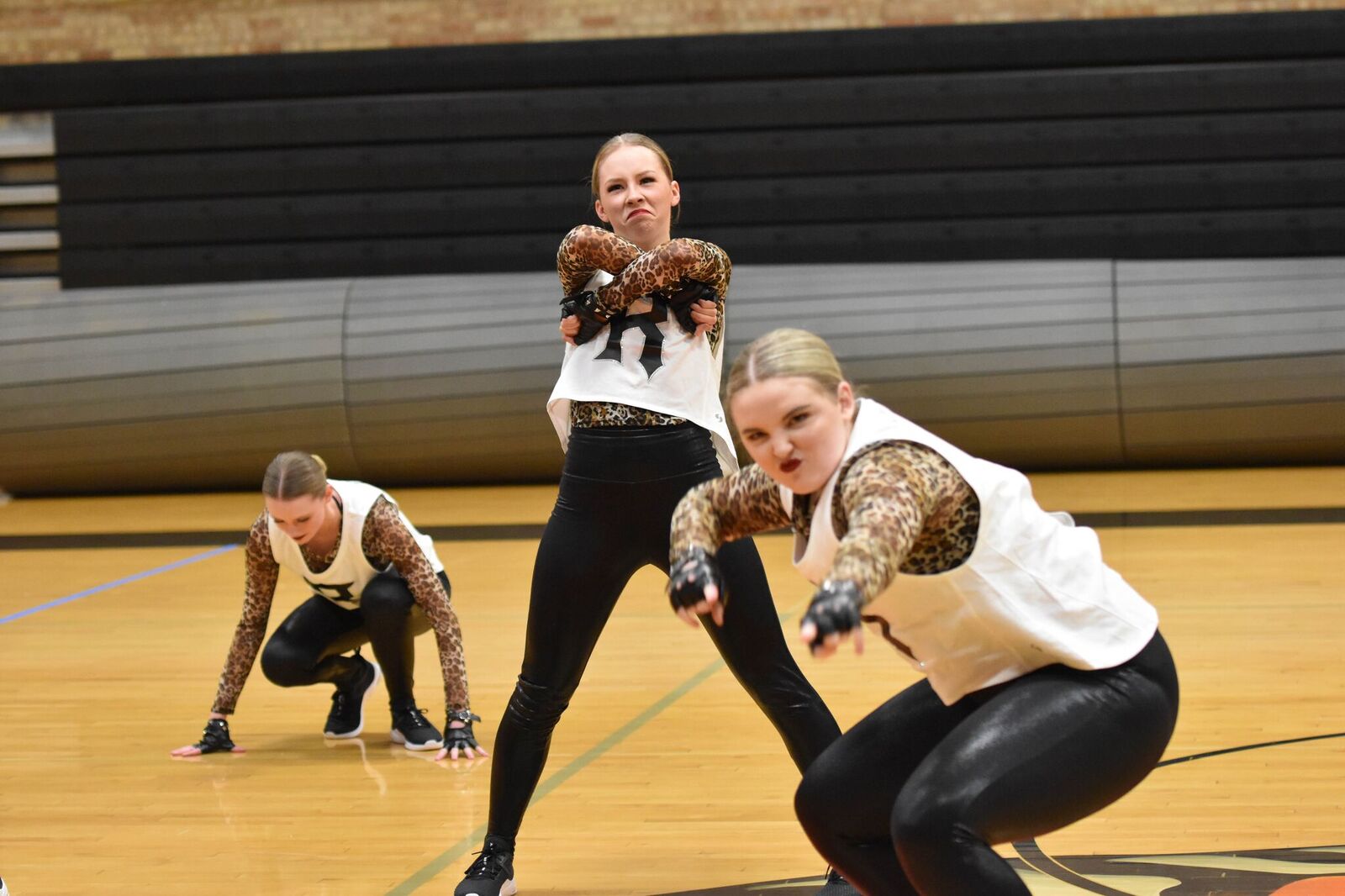 RSHS Dance Team Takes Second at State Spirit; Cheer Takes Second in All-Girl