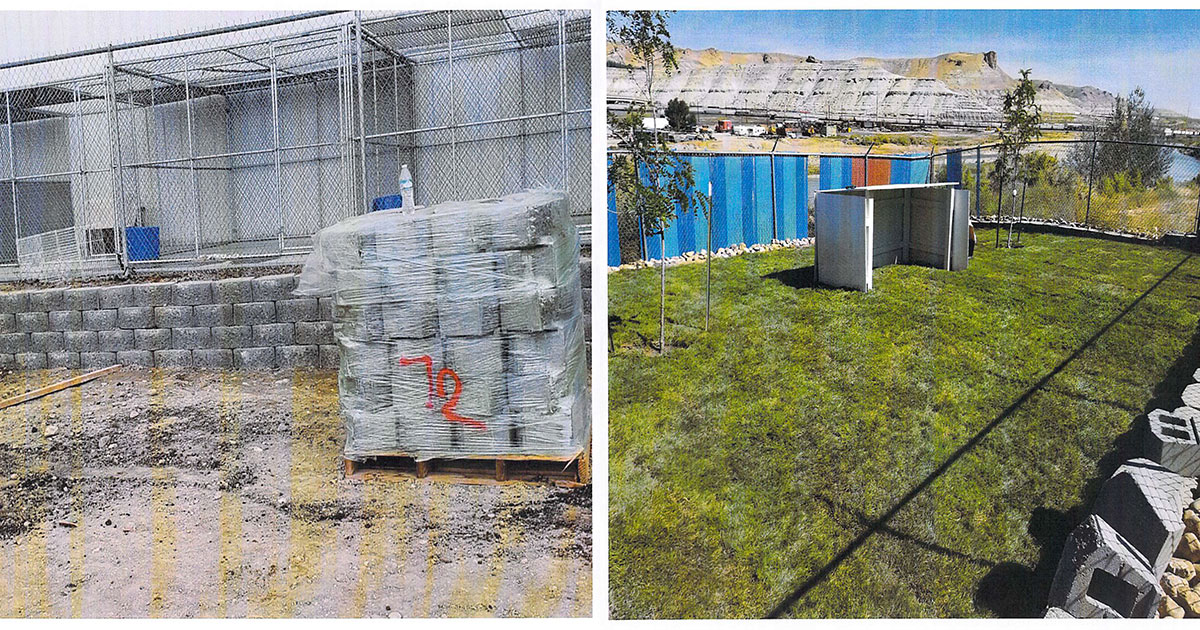 Animal Control Improves Backyard Area