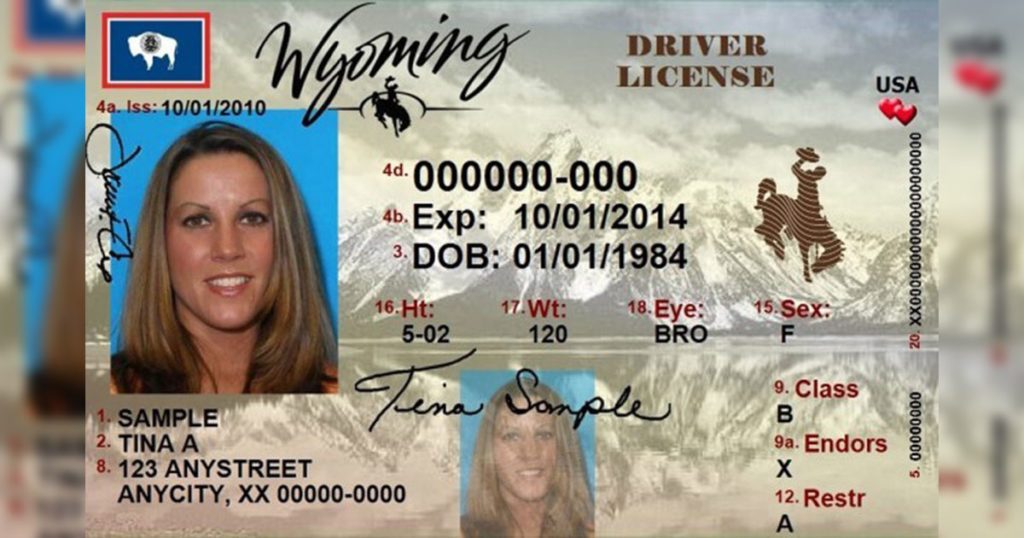 Executive Order Provides Grace Period for Expired Drivers Licenses