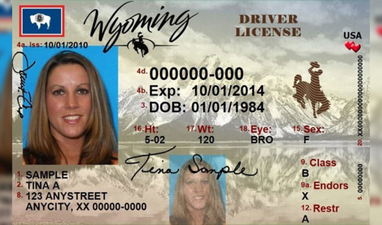 Executive Order Provides Grace Period for Expired Drivers Licenses