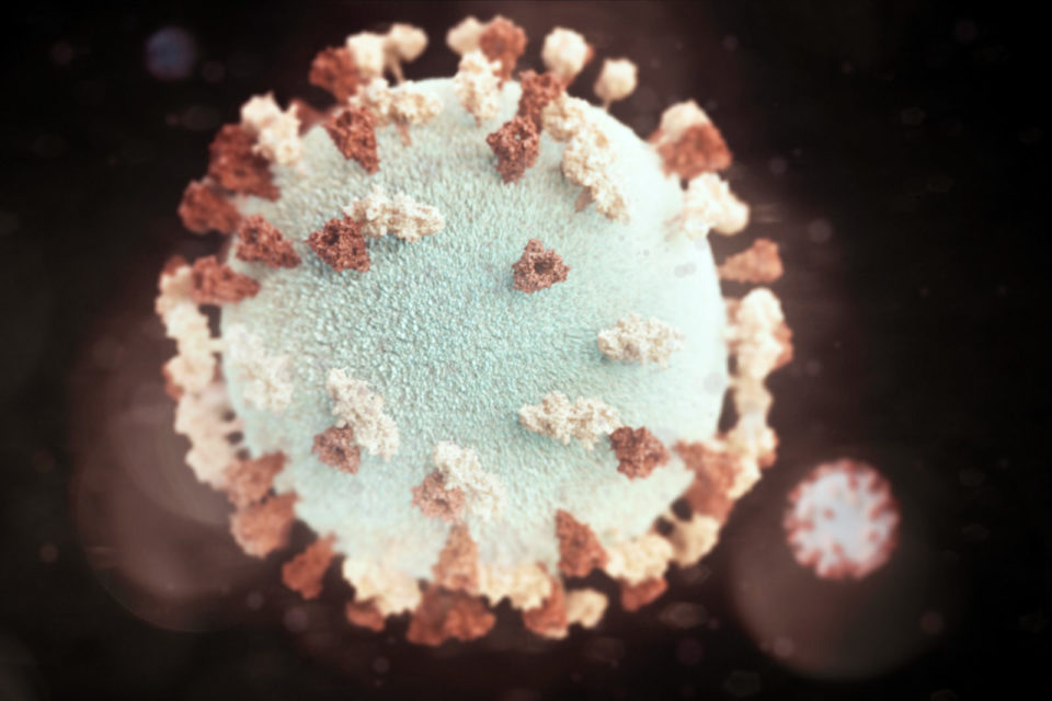 Teton County Announces First Case of COVID-19 Coronavirus