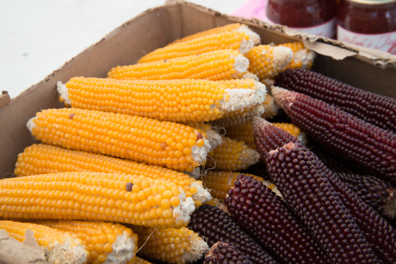 Silver Stream Farm Awarded Grant From the Food Security System Implementation Project