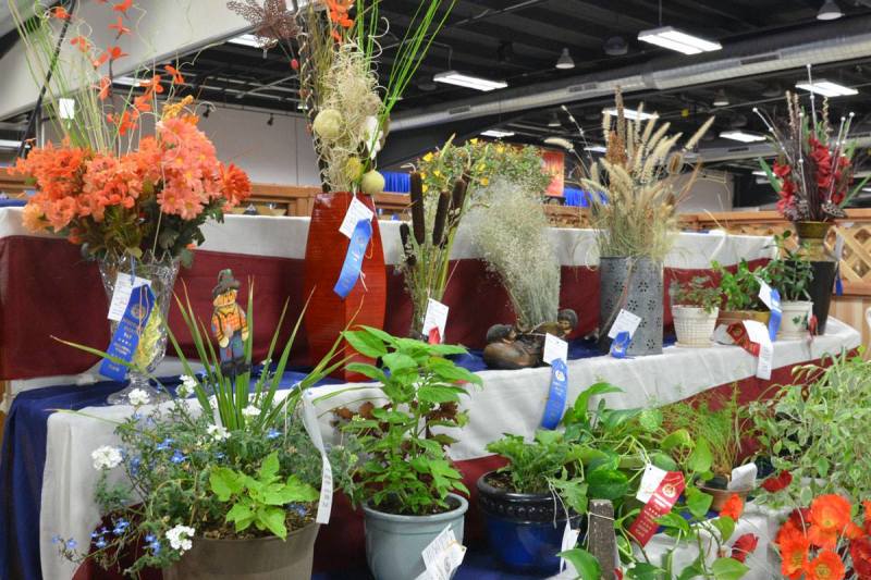 Wyoming Big Show: Field Crops and Floriculture Results