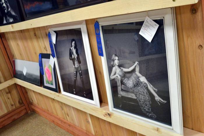 Wyoming Big Show: Photography Results