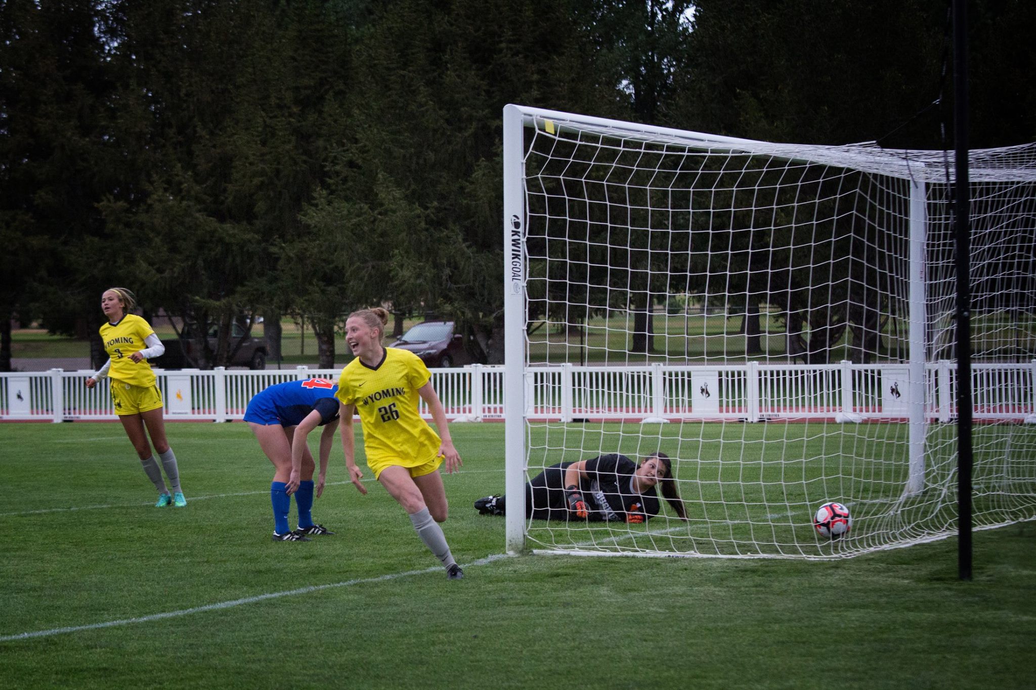 Cowgirls Blank Lobos