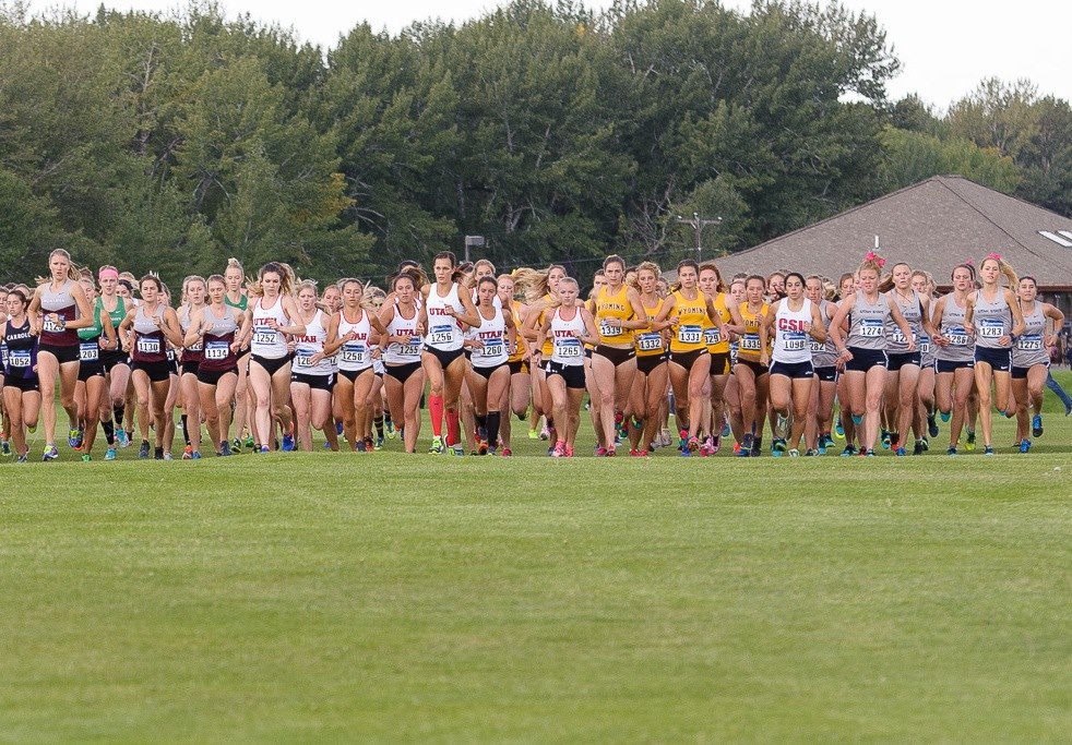 Hamilton, Henry Lead as UW Excels at MSU