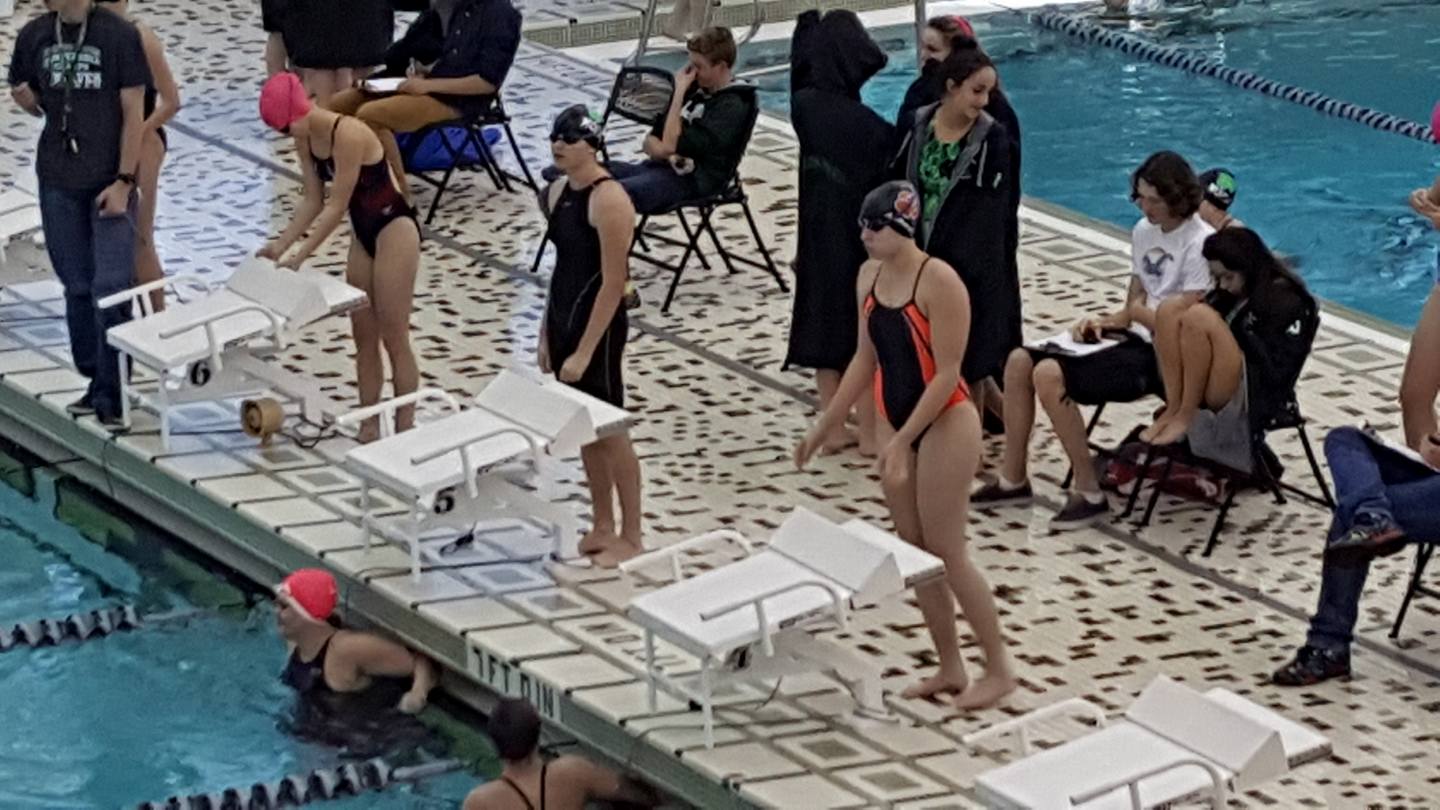Local Swimmers Earn All-State Honors