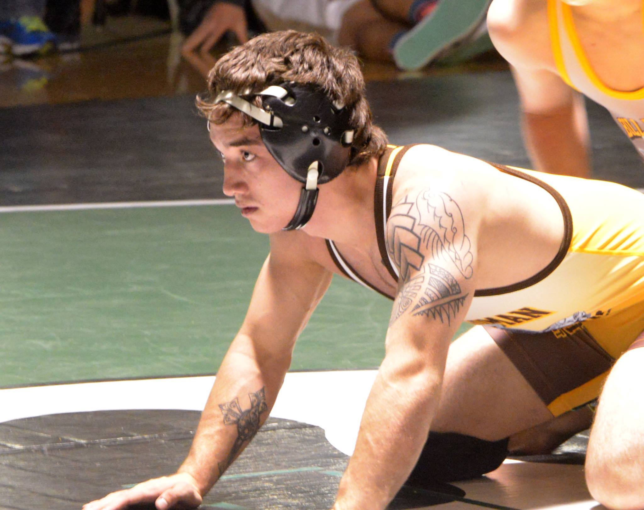 Wolves Take Tiger-Grizz Trophy