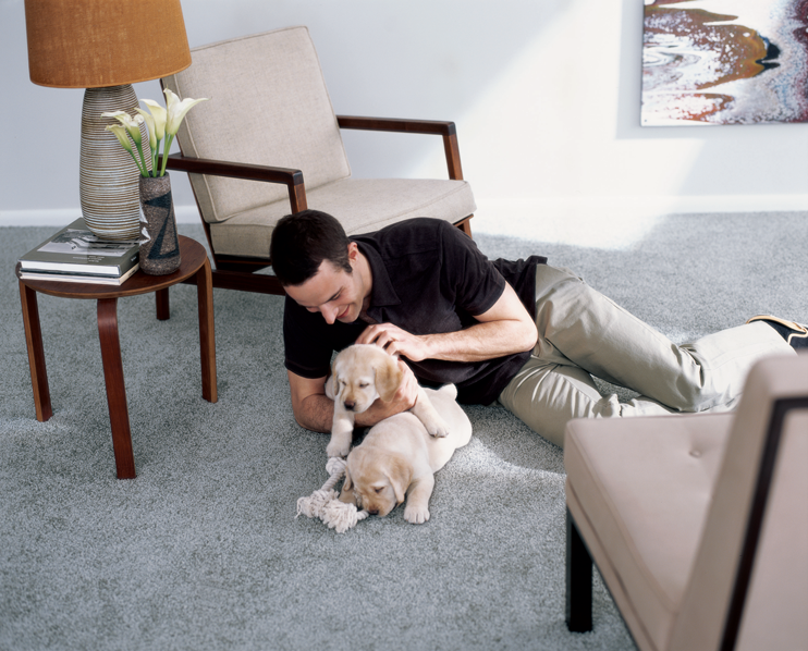 Carpet One Sale: Up to 50% OFF Lees Pet-friendly Carpets