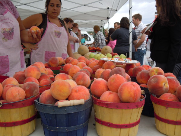 Scenes From the Green River Farmer’s Market
