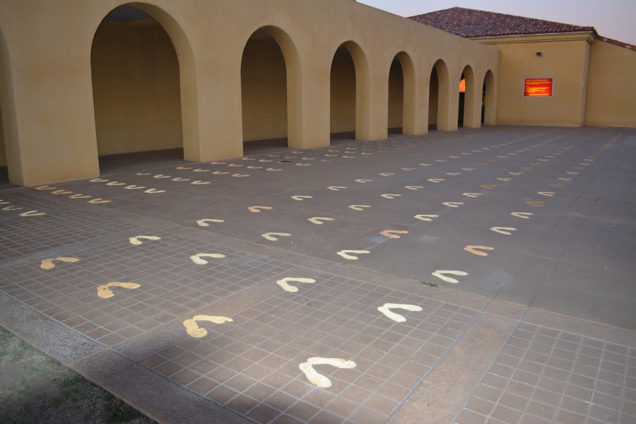 Day 1: Welcome to the Marine Corps