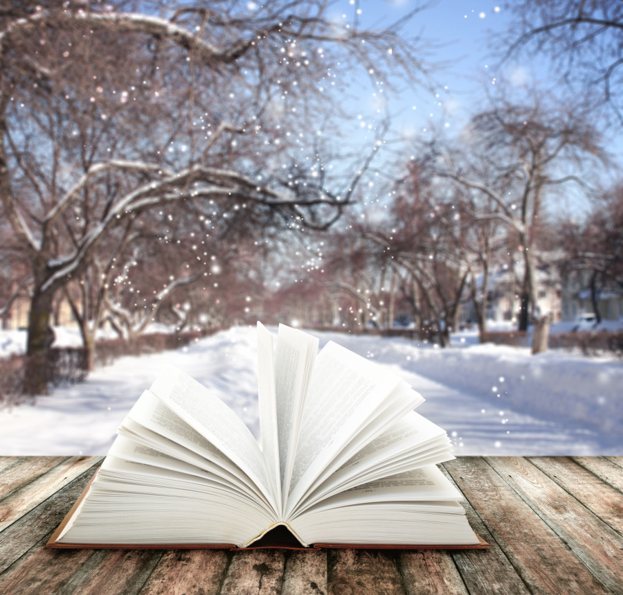 Snow is Falling, Books Are Calling