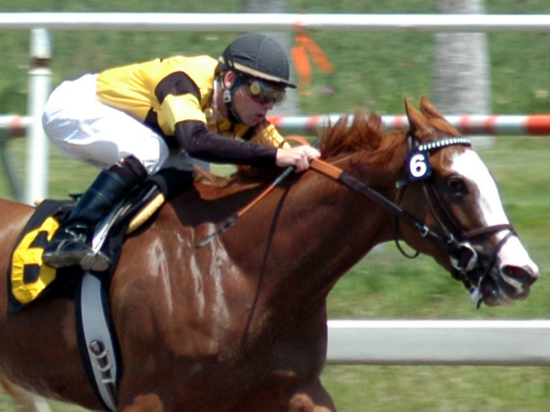 Sweetwater County and Rock Springs Continue to Benefit from Wyoming Horse Racing