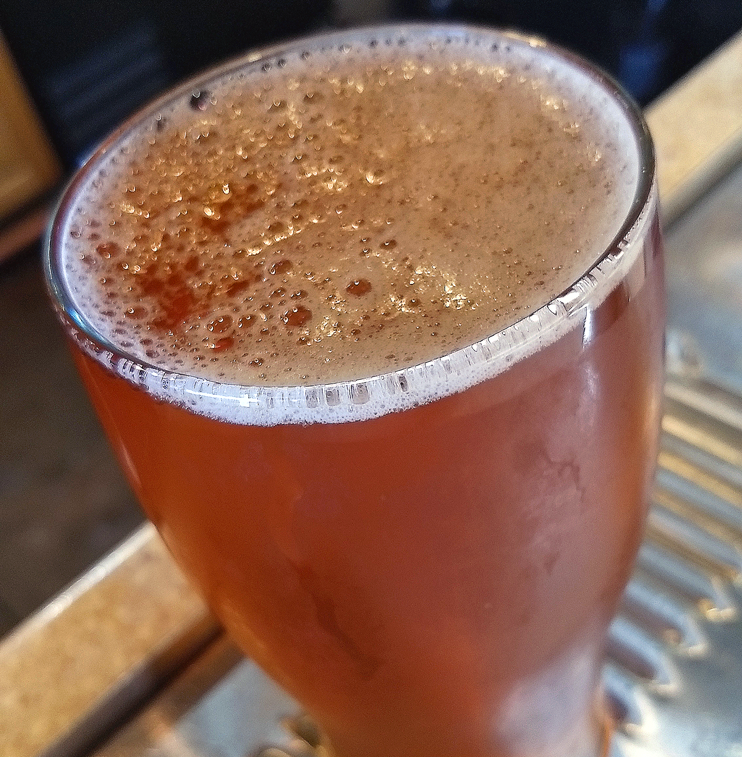 The Eclipse is Coming, The Beer is Here.