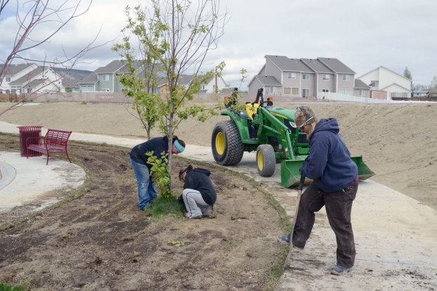 Dog Owners Now Have A Choice of Parks