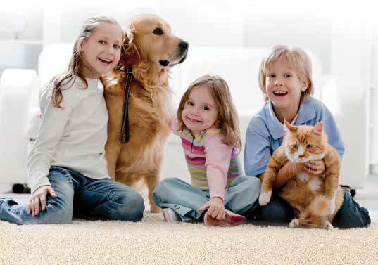 STAINMASTER – One Day Private Event July 22