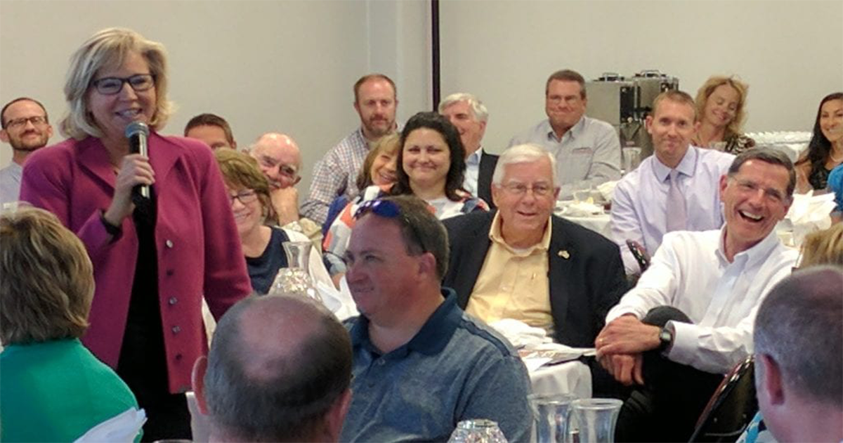 White House Selects Enzi, Barrasso and Cheney for Task Force to Reopen Economy