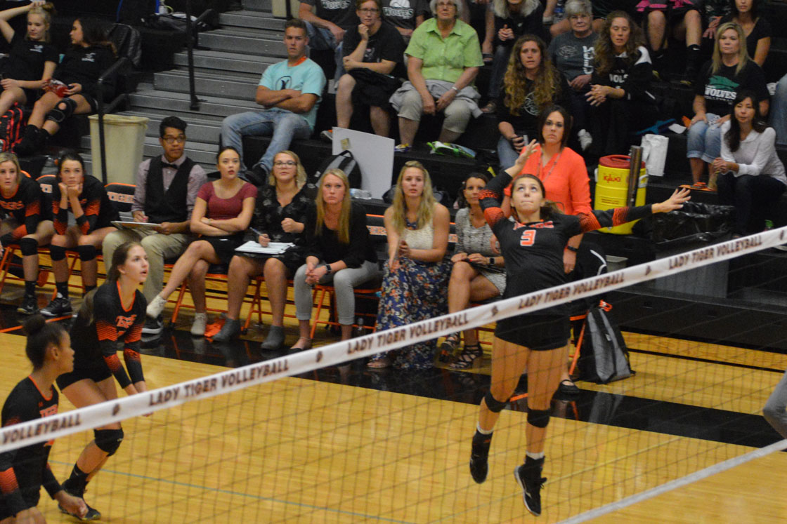 Lady Tigers Continue Growth in Casper