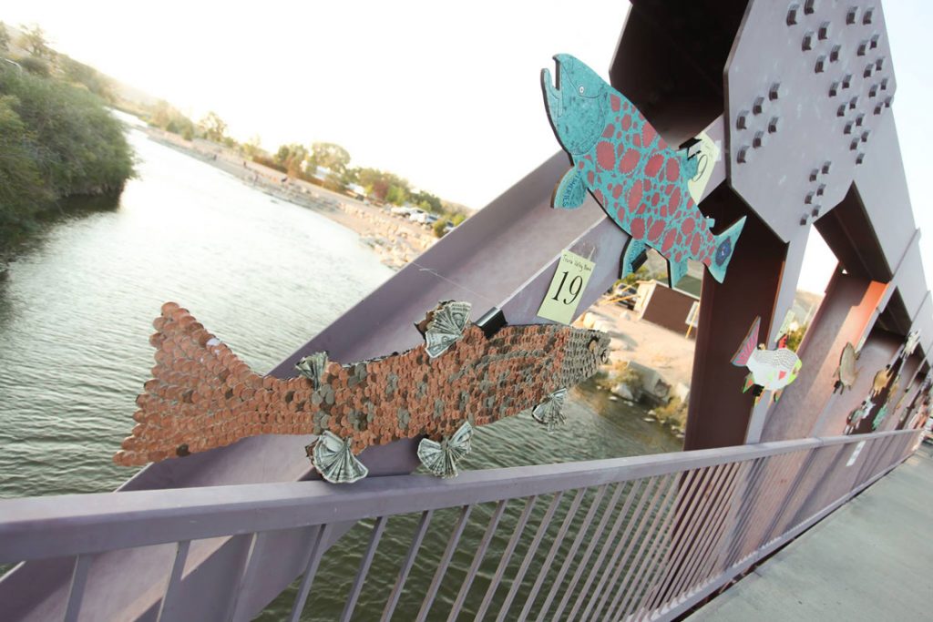 River Festival Participation Exceeds 3,000 This Year