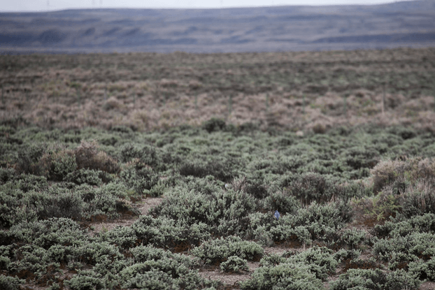 Fall Allergy Season Starts!