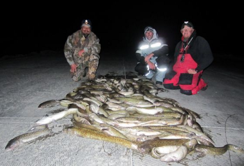 Buckboard Marina to Host Burbot Classic Fishing Derby