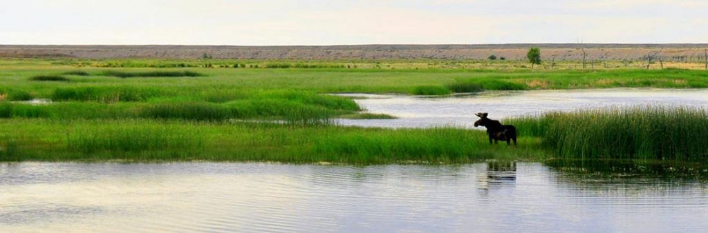 Sweetwater County Museum and Wyoming Chapter of Sierra Club Cosponsoring Green River Float Trip