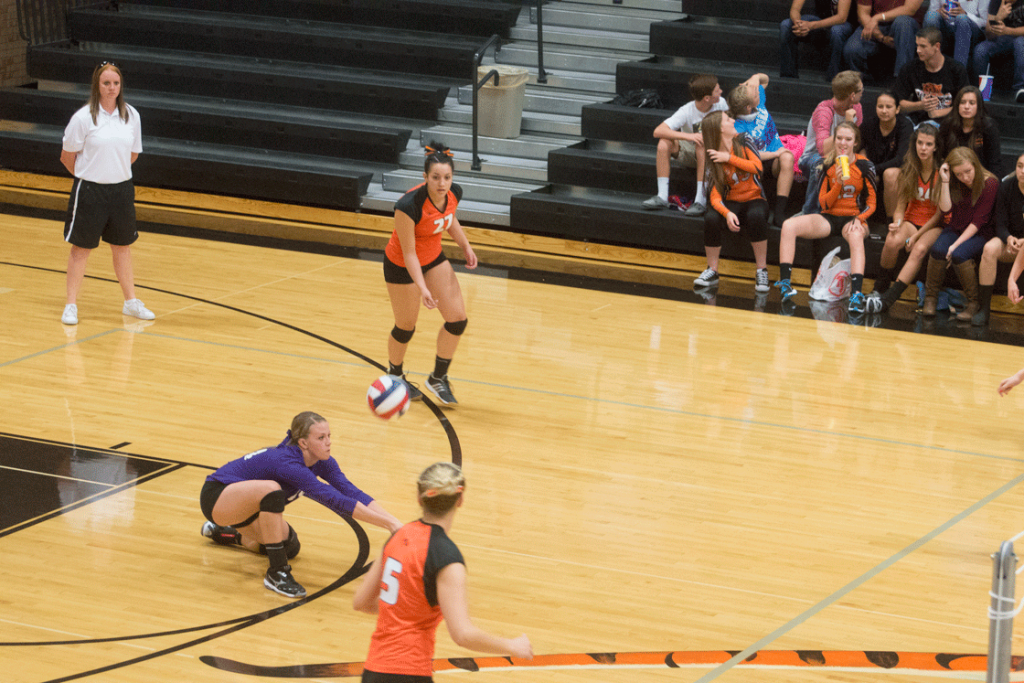 High School Volleyball Standings and Scores