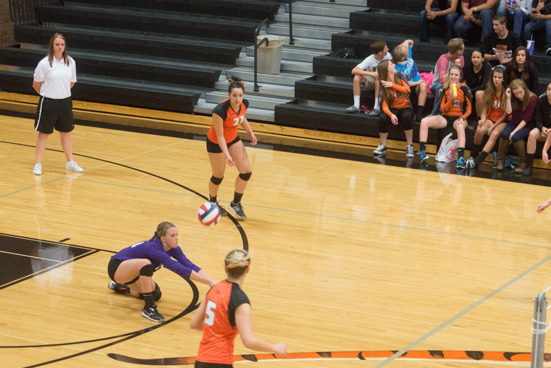 High School Volleyball Standings and Scores