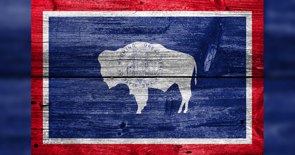 Wyoming Management Council Sets Next Steps for Legislative Response to COVID-19 Pandemic