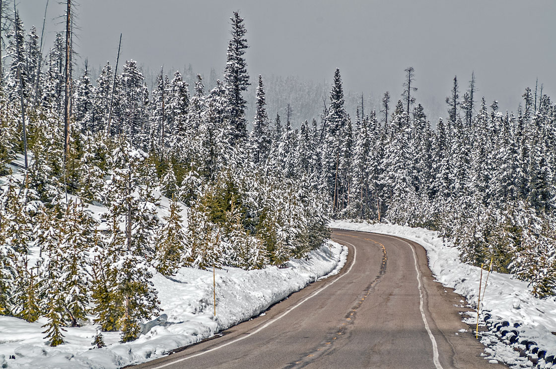 Select Yellowstone Park Roads Open For Season