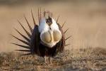 Governor and Interior Secretary applaud ranchers