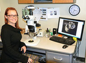 UW Student Will Use NSF Fellowship to Research Wind Turbine Effects on Insects